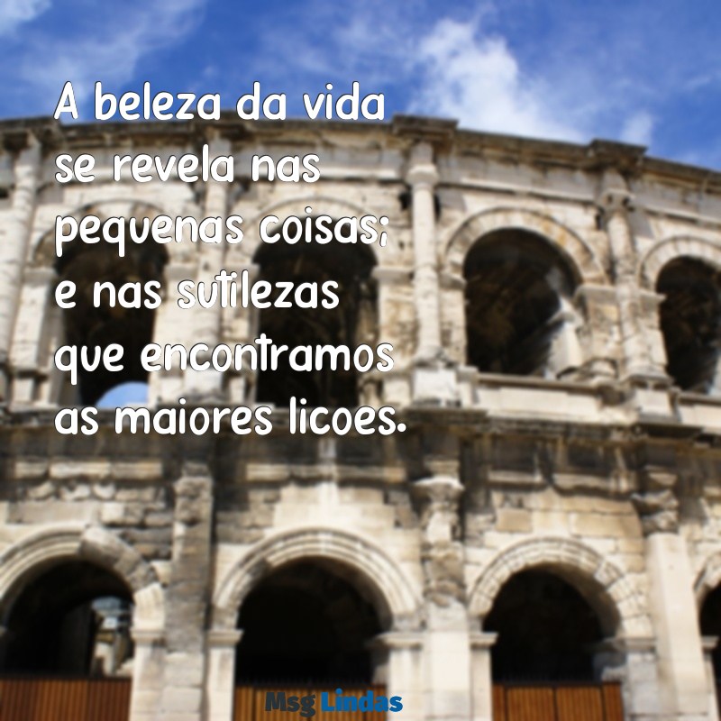 reflexão frases bonitas A beleza da vida se revela nas pequenas coisas; é nas sutilezas que encontramos as maiores lições.