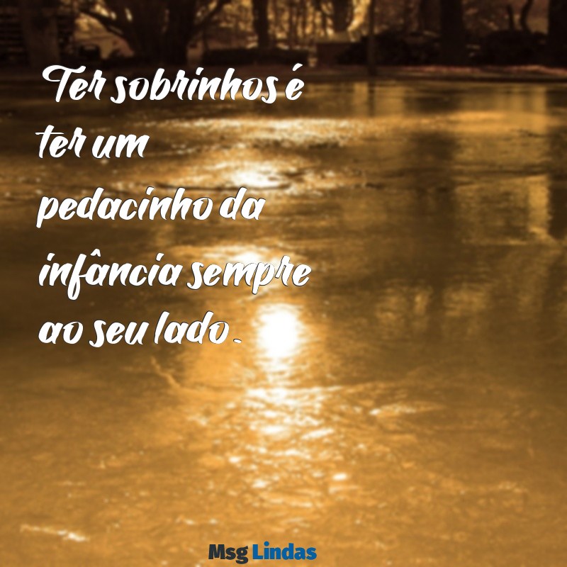 sobrinhos frases Ter sobrinhos é ter um pedacinho da infância sempre ao seu lado.