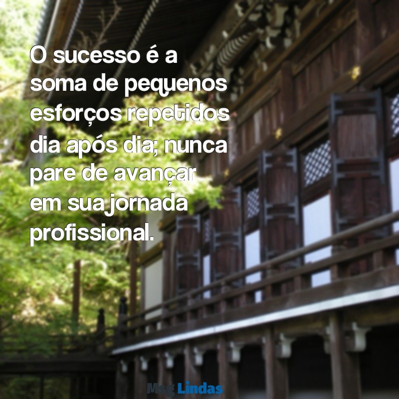 frases de incentivo profissional O sucesso é a soma de pequenos esforços repetidos dia após dia; nunca pare de avançar em sua jornada profissional.