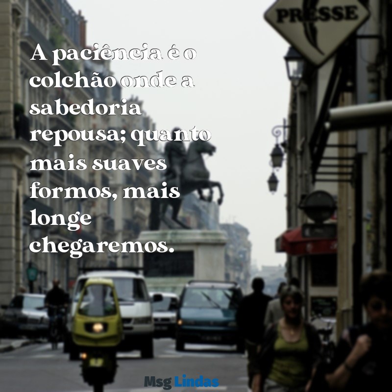 mensagens de paciência e tolerância A paciência é o colchão onde a sabedoria repousa; quanto mais suaves formos, mais longe chegaremos.