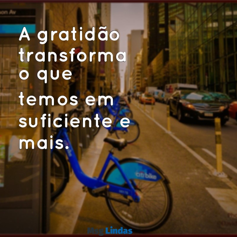 tema gratidão A gratidão transforma o que temos em suficiente e mais.