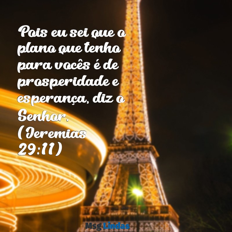 frases bíblicas de motivação Pois eu sei que o plano que tenho para vocês é de prosperidade e esperança, diz o Senhor. (Jeremias 29:11)