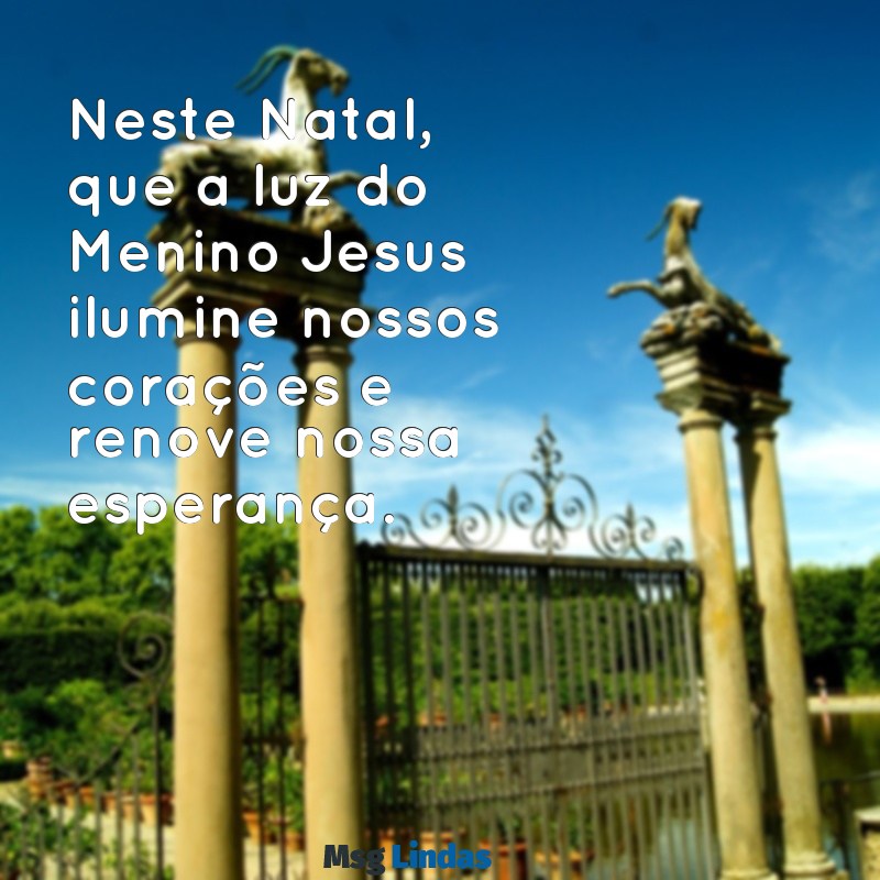 mensagens catolica natal Neste Natal, que a luz do Menino Jesus ilumine nossos corações e renove nossa esperança.