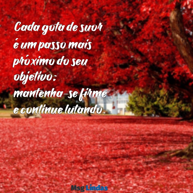 frases motivacionais de treino Cada gota de suor é um passo mais próximo do seu objetivo; mantenha-se firme e continue lutando.