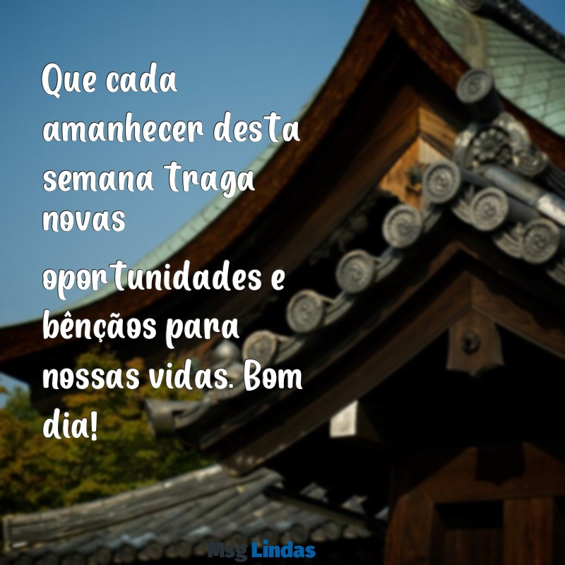 bom dia semana abençoada para todos nós Que cada amanhecer desta semana traga novas oportunidades e bênçãos para nossas vidas. Bom dia!