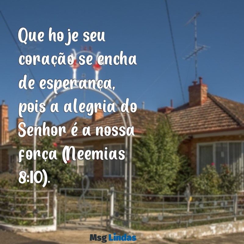 mensagens bíblica do dia de hoje Que hoje seu coração se encha de esperança, pois a alegria do Senhor é a nossa força (Neemias 8:10).