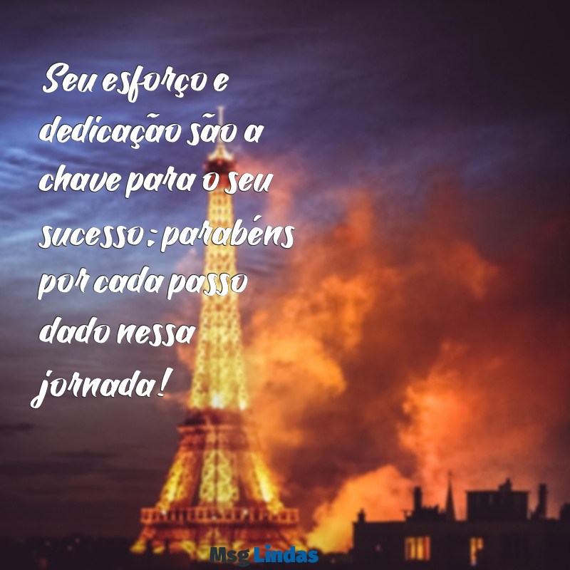 parabéns pela sua dedicação Seu esforço e dedicação são a chave para o seu sucesso; parabéns por cada passo dado nessa jornada!