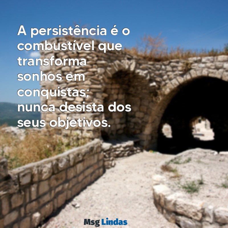 nunca desista dos seus objetivos A persistência é o combustível que transforma sonhos em conquistas; nunca desista dos seus objetivos.