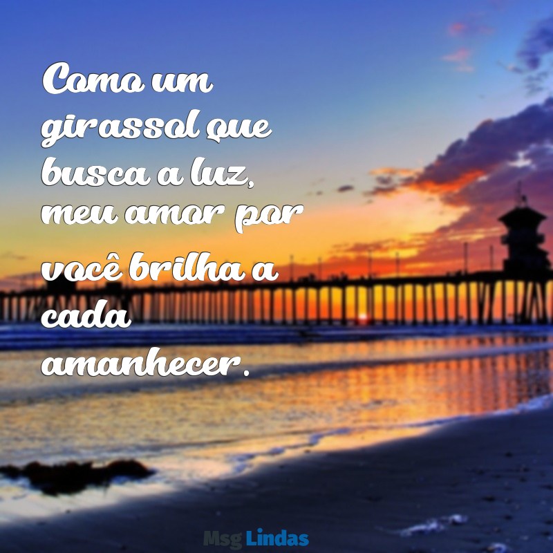 mensagens girassol amor Como um girassol que busca a luz, meu amor por você brilha a cada amanhecer.