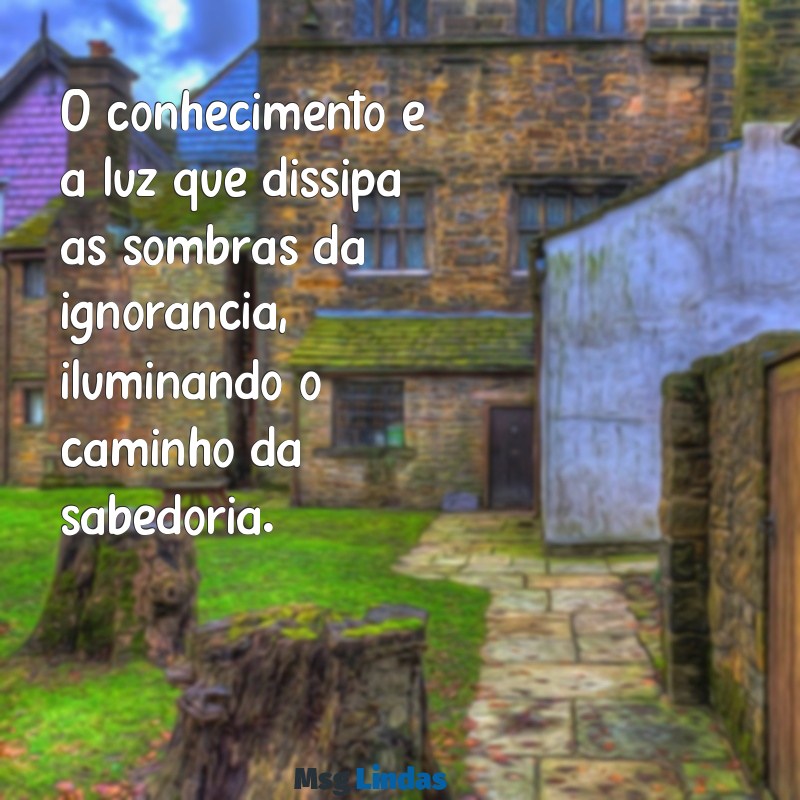 mensagens sobre conhecimento e aprendizagem O conhecimento é a luz que dissipa as sombras da ignorância, iluminando o caminho da sabedoria.