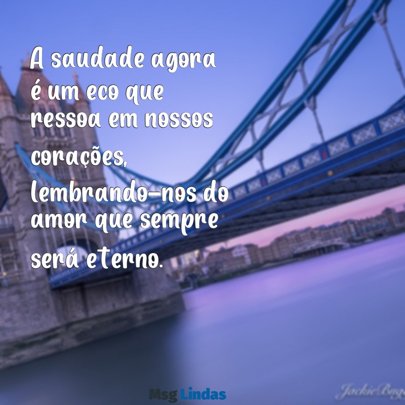 mensagens de falecimento de uma pessoa querida A saudade agora é um eco que ressoa em nossos corações, lembrando-nos do amor que sempre será eterno.