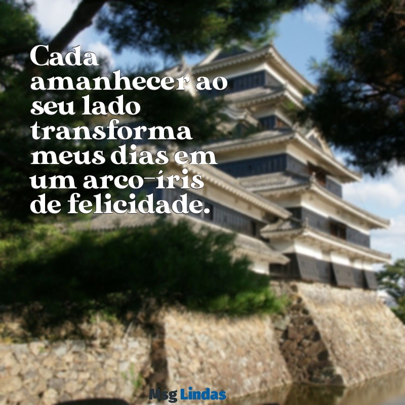 meus dias sao mais felizes com você Cada amanhecer ao seu lado transforma meus dias em um arco-íris de felicidade.