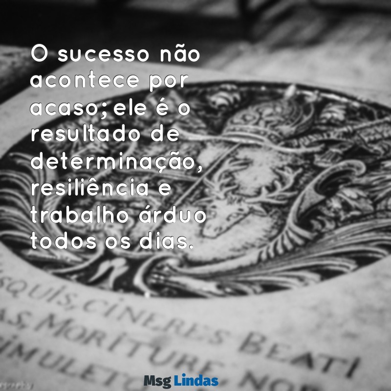 mensagens empreendedor O sucesso não acontece por acaso; ele é o resultado de determinação, resiliência e trabalho árduo todos os dias.