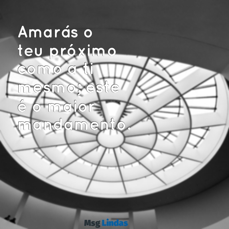 frases de jesus sobre o amor Amarás o teu próximo como a ti mesmo; este é o maior mandamento.