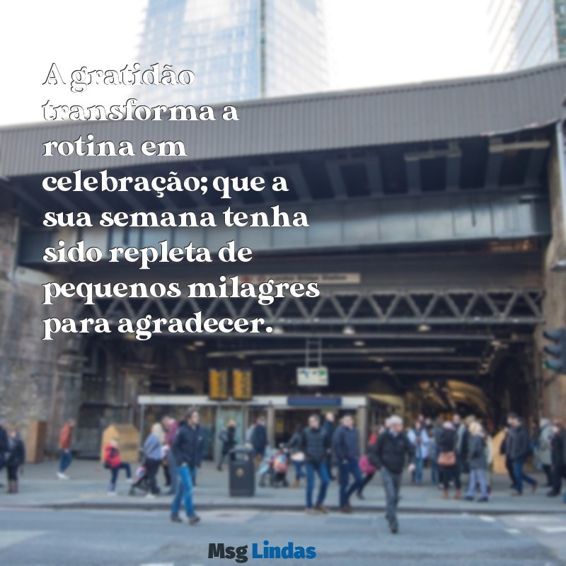 mensagens de gratidão pela semana A gratidão transforma a rotina em celebração; que a sua semana tenha sido repleta de pequenos milagres para agradecer.