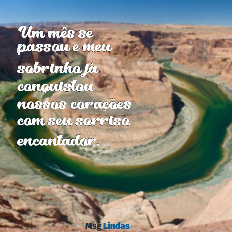 texto de 1 mês de vida do meu sobrinho Um mês se passou e meu sobrinho já conquistou nossos corações com seu sorriso encantador.