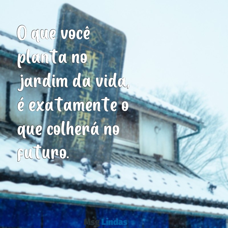 a lei do retorno O que você planta no jardim da vida, é exatamente o que colherá no futuro.