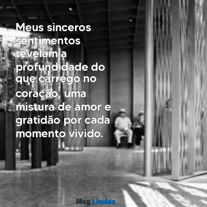 meus sinceros sentimentos Meus sinceros sentimentos revelam a profundidade do que carrego no coração, uma mistura de amor e gratidão por cada momento vivido.