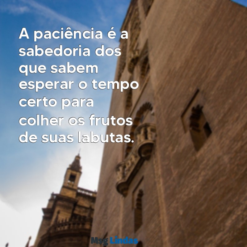 mensagens de preto velho A paciência é a sabedoria dos que sabem esperar o tempo certo para colher os frutos de suas labutas.