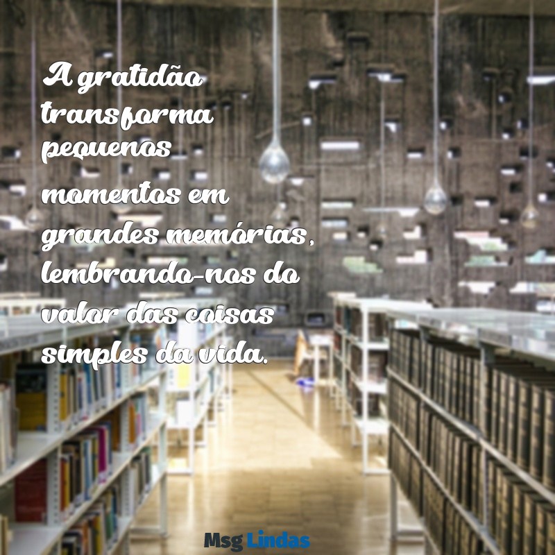 gratidão texto A gratidão transforma pequenos momentos em grandes memórias, lembrando-nos do valor das coisas simples da vida.