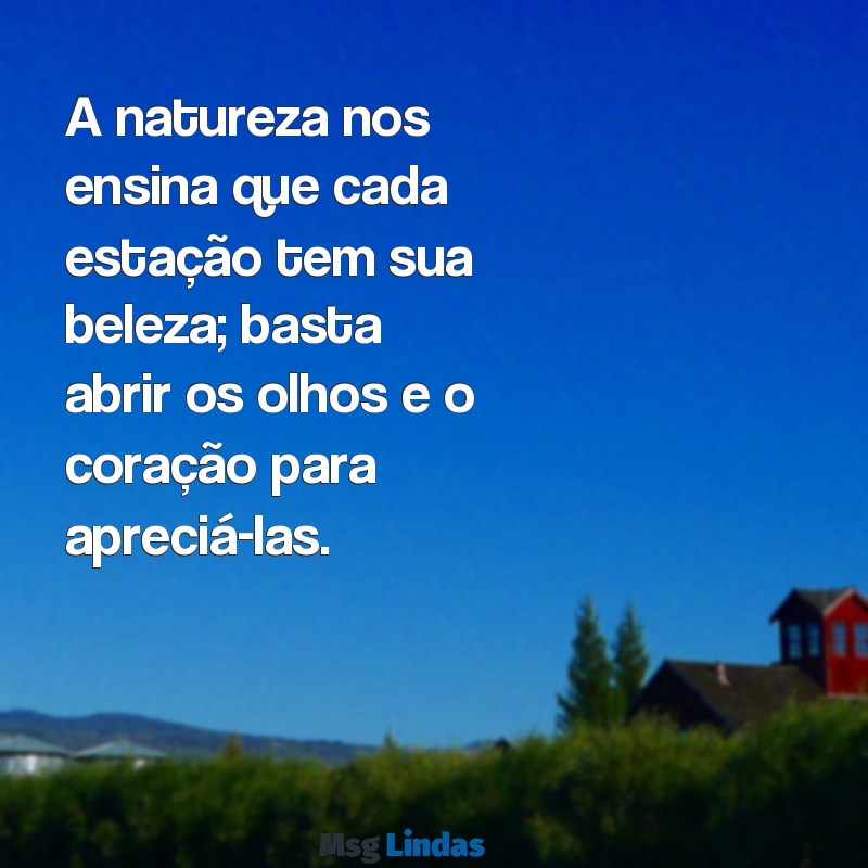 mensagens de natureza A natureza nos ensina que cada estação tem sua beleza; basta abrir os olhos e o coração para apreciá-las.