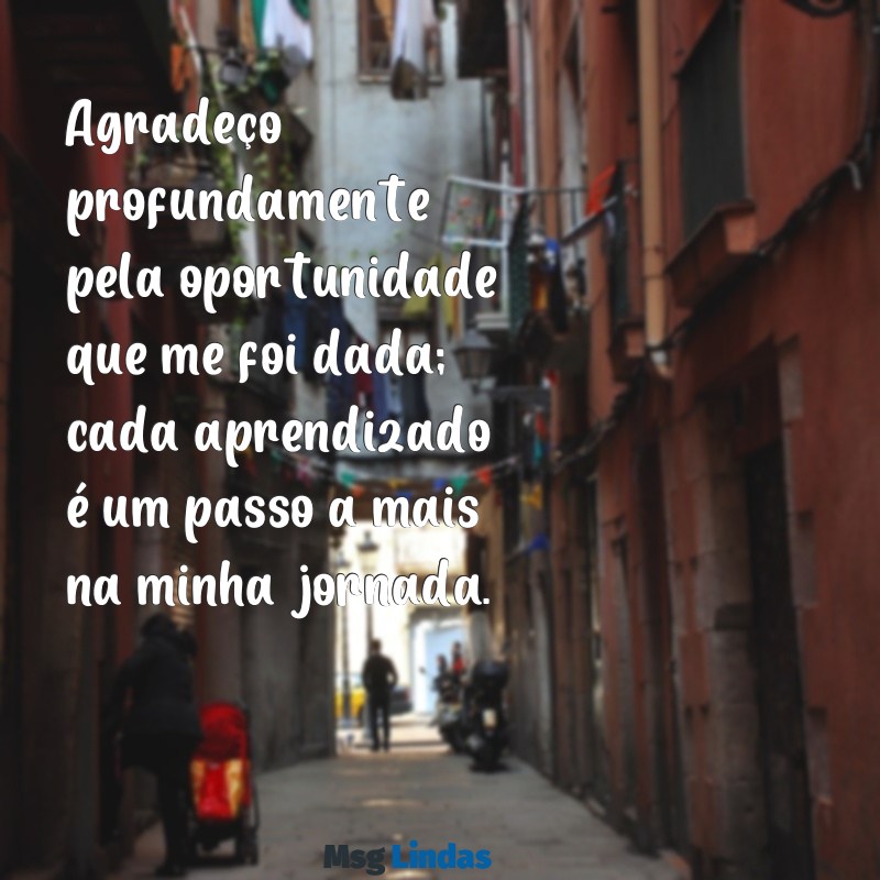 mensagens de gratidão pela oportunidade Agradeço profundamente pela oportunidade que me foi dada; cada aprendizado é um passo a mais na minha jornada.