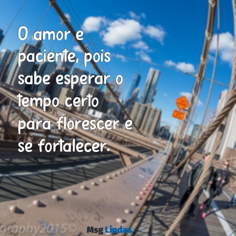 o amor é paciente O amor é paciente, pois sabe esperar o tempo certo para florescer e se fortalecer.