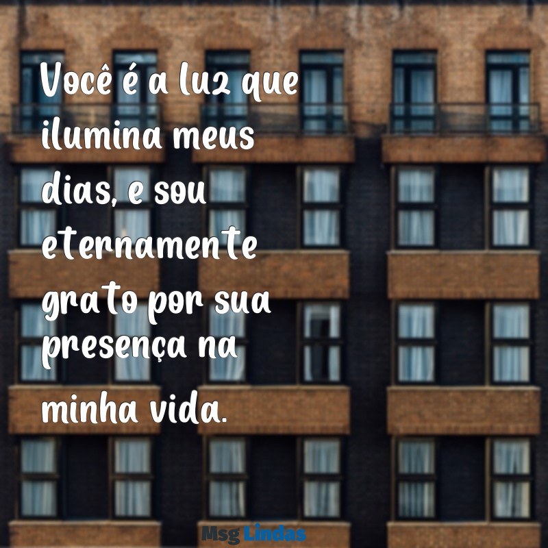 mensagens pessoa importante Você é a luz que ilumina meus dias, e sou eternamente grato por sua presença na minha vida.