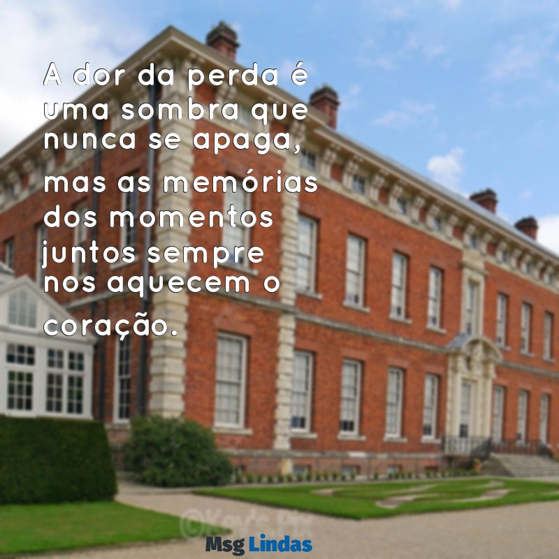 luto de amigo A dor da perda é uma sombra que nunca se apaga, mas as memórias dos momentos juntos sempre nos aquecem o coração.