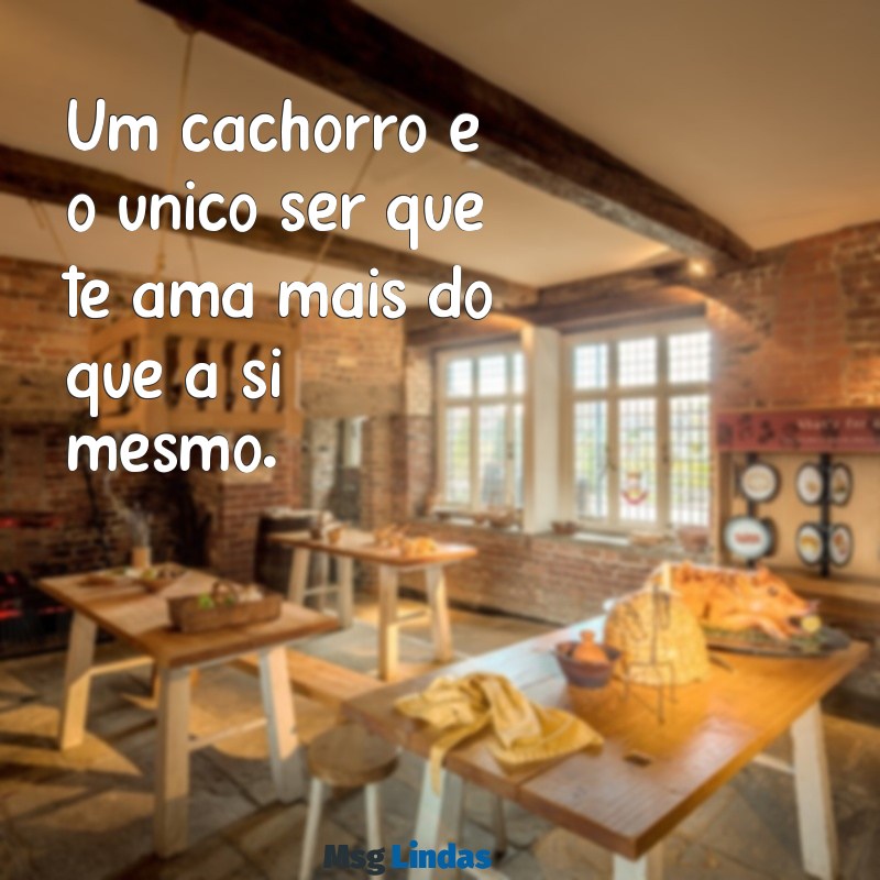 frases cachorro Um cachorro é o único ser que te ama mais do que a si mesmo.