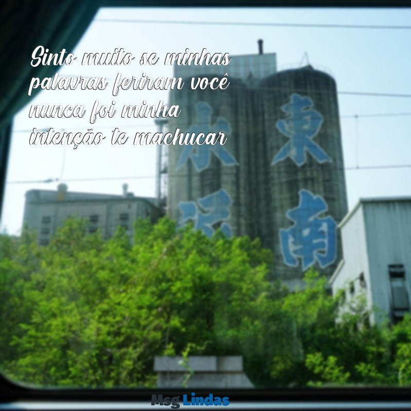 texto pedindo desculpas Sinto muito se minhas palavras feriram você, nunca foi minha intenção te machucar.