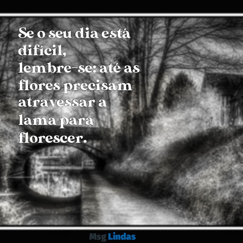 frases para por no recado do whatsapp Se o seu dia está difícil, lembre-se: até as flores precisam atravessar a lama para florescer.