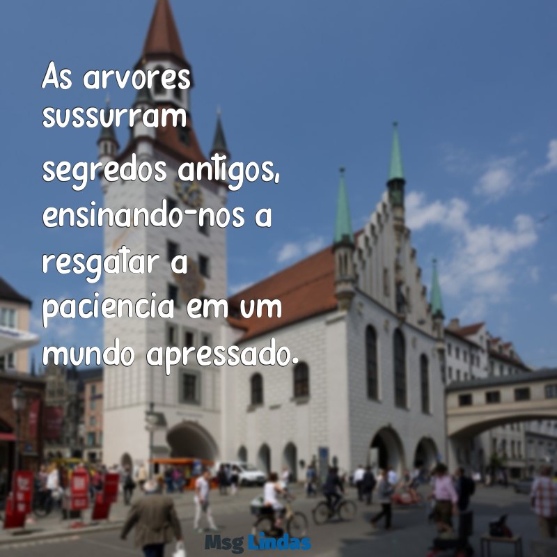 mensagens da árvore As árvores sussurram segredos antigos, ensinando-nos a resgatar a paciência em um mundo apressado.