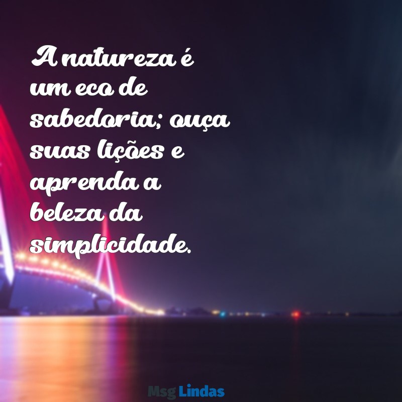 mensagens para a natureza A natureza é um eco de sabedoria; ouça suas lições e aprenda a beleza da simplicidade.