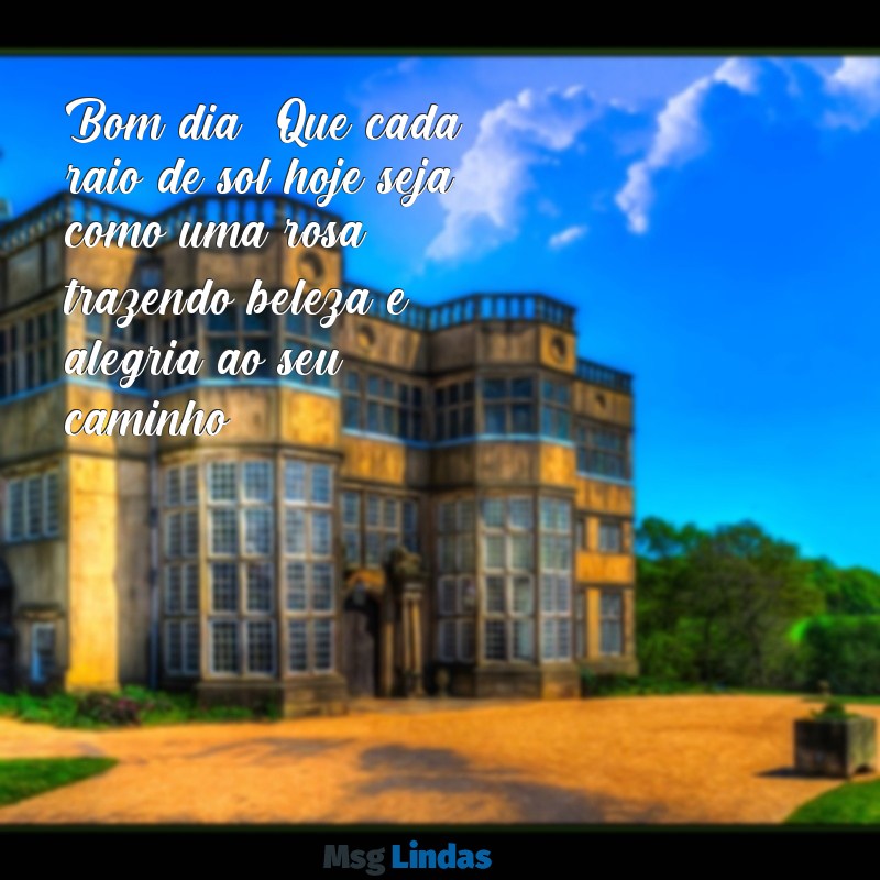 mensagens de bom dia rosas Bom dia! Que cada raio de sol hoje seja como uma rosa, trazendo beleza e alegria ao seu caminho.