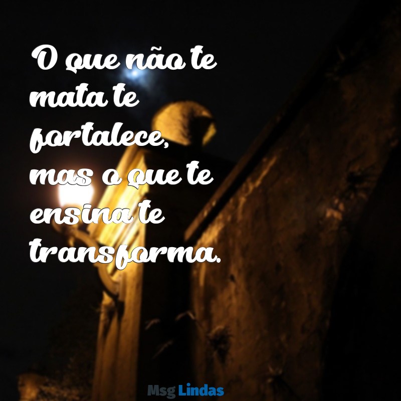 frases marcante O que não te mata te fortalece, mas o que te ensina te transforma.