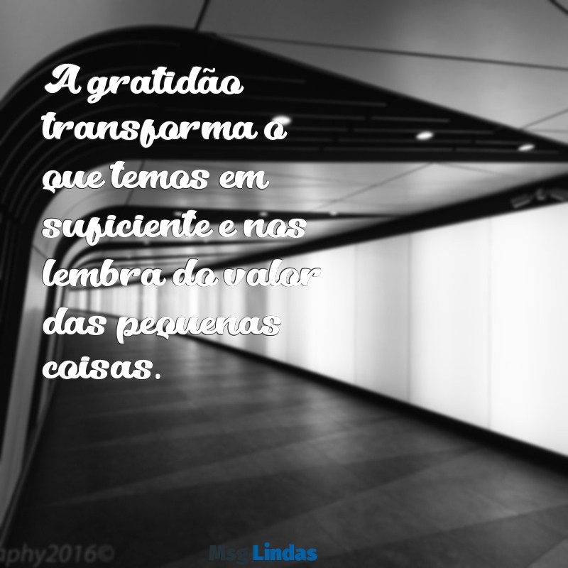 mensagens de agradecimento gratidão A gratidão transforma o que temos em suficiente e nos lembra do valor das pequenas coisas.