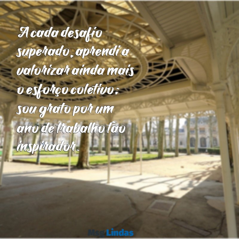 agradecimento pelo ano de trabalho A cada desafio superado, aprendi a valorizar ainda mais o esforço coletivo; sou grato por um ano de trabalho tão inspirador.