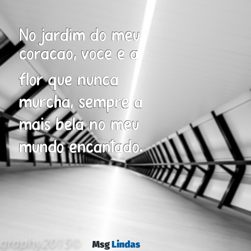 poema fofo para namorada No jardim do meu coração, você é a flor que nunca murcha, sempre a mais bela no meu mundo encantado.