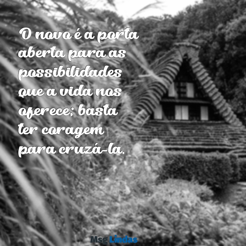 mensagens sobre o novo O novo é a porta aberta para as possibilidades que a vida nos oferece; basta ter coragem para cruzá-la.