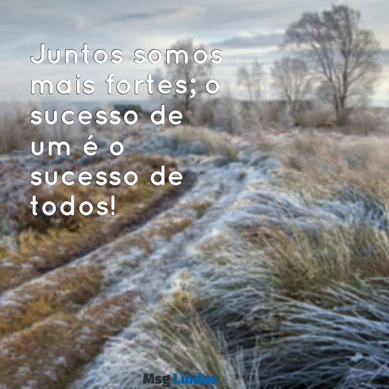 frases motivacionais para amigos de trabalho Juntos somos mais fortes; o sucesso de um é o sucesso de todos!