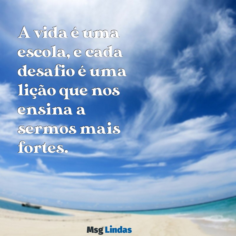 lições da vida A vida é uma escola, e cada desafio é uma lição que nos ensina a sermos mais fortes.