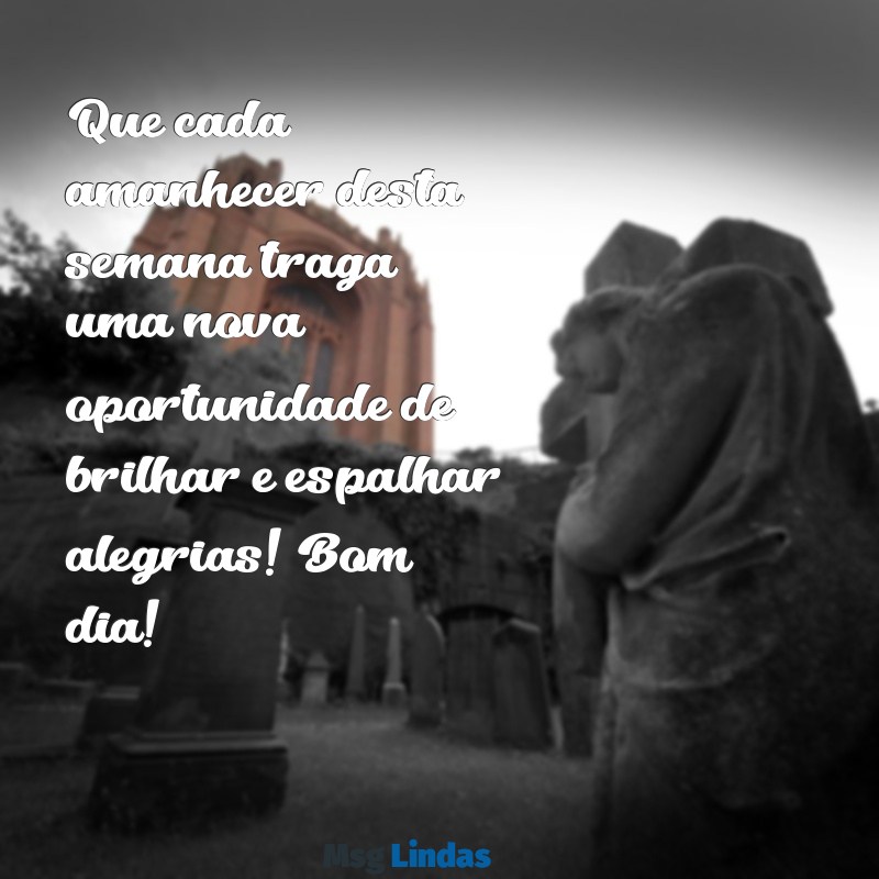 mensagens de bom dia uma semana abençoada Que cada amanhecer desta semana traga uma nova oportunidade de brilhar e espalhar alegrias! Bom dia!