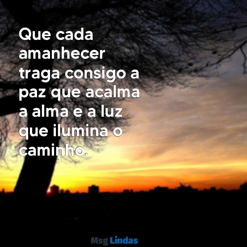 bom dia paz e luz Que cada amanhecer traga consigo a paz que acalma a alma e a luz que ilumina o caminho.