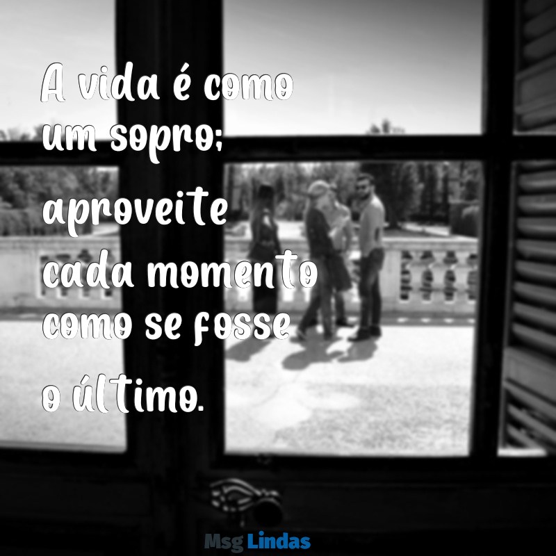 a vida é passageira aproveite A vida é como um sopro; aproveite cada momento como se fosse o último.