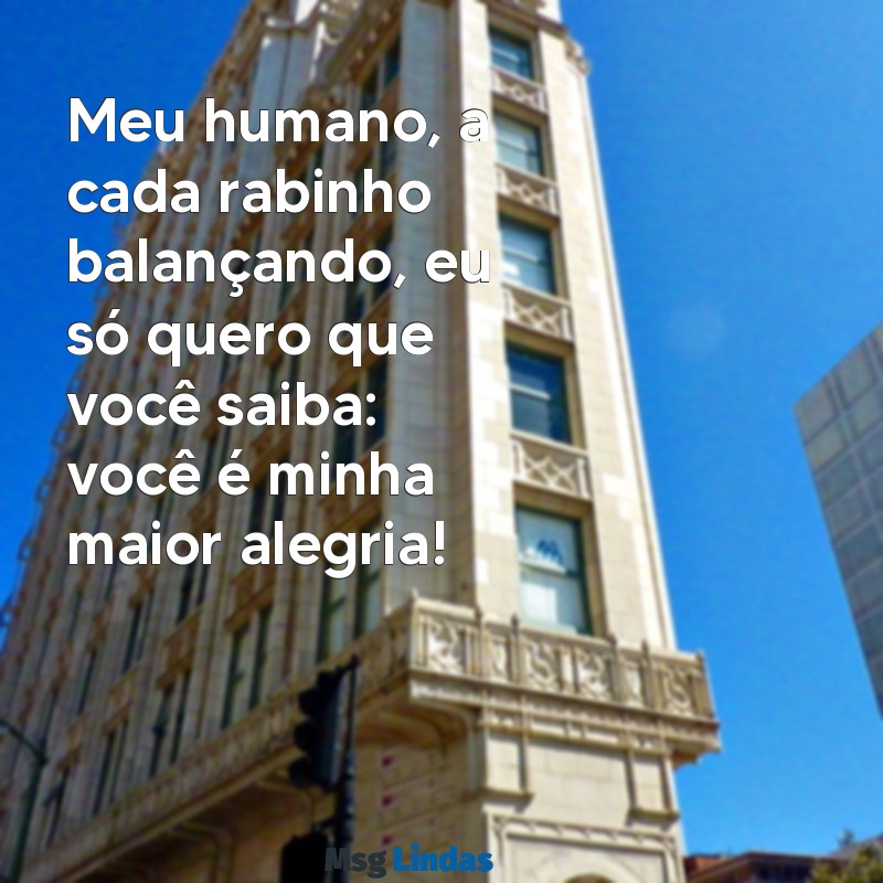 frases de cachorro para o dono Meu humano, a cada rabinho balançando, eu só quero que você saiba: você é minha maior alegria!