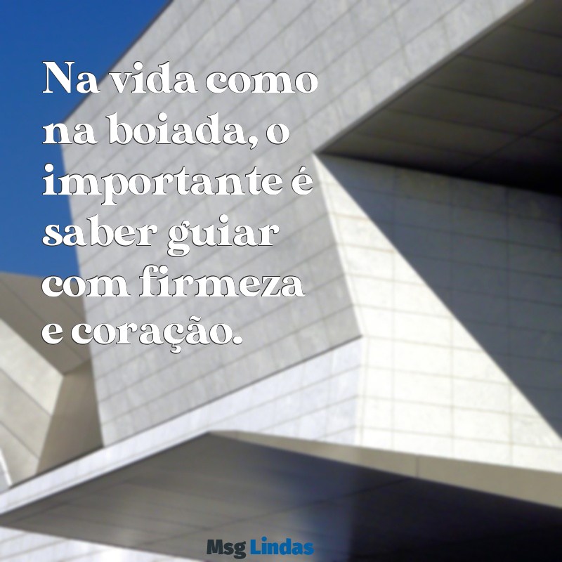 mensagens de boiadeiro Na vida como na boiada, o importante é saber guiar com firmeza e coração.