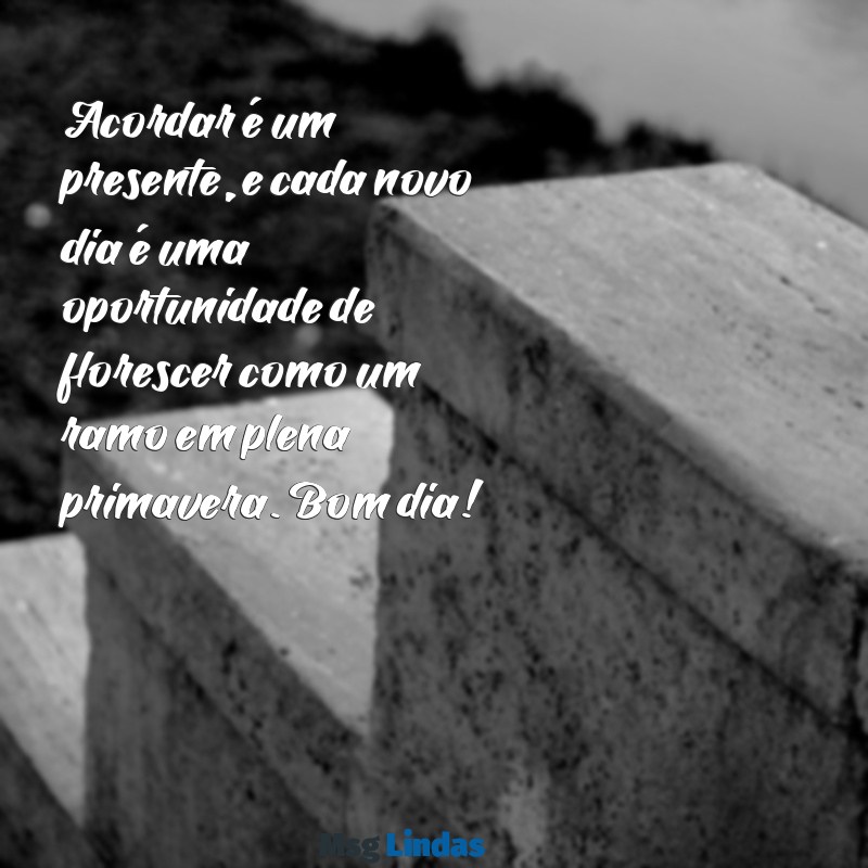 mensagens de bom dia de ramos Acordar é um presente, e cada novo dia é uma oportunidade de florescer como um ramo em plena primavera. Bom dia!