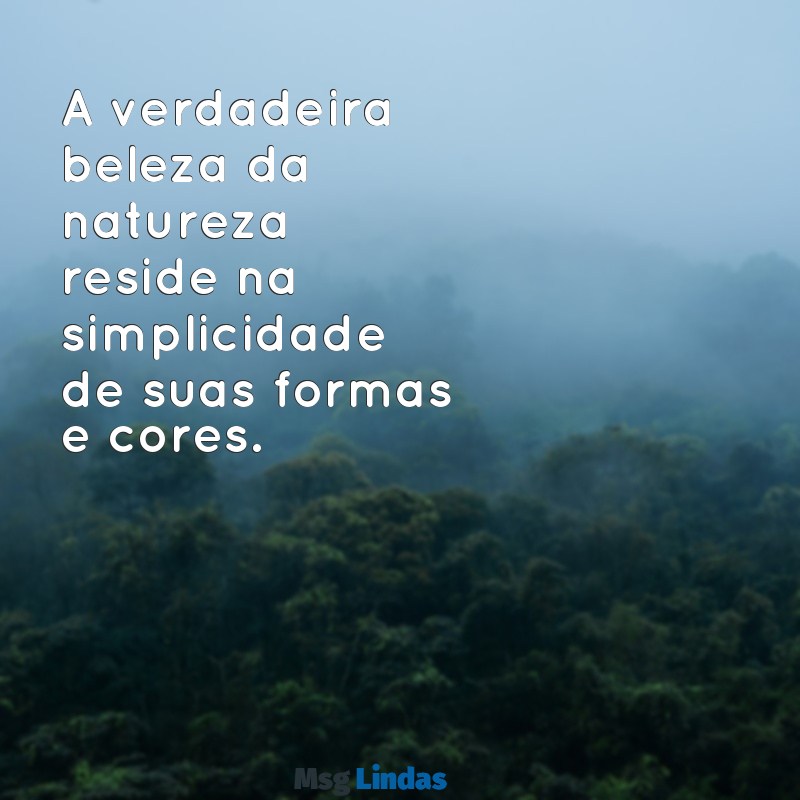 frases natureza simplicidade A verdadeira beleza da natureza reside na simplicidade de suas formas e cores.