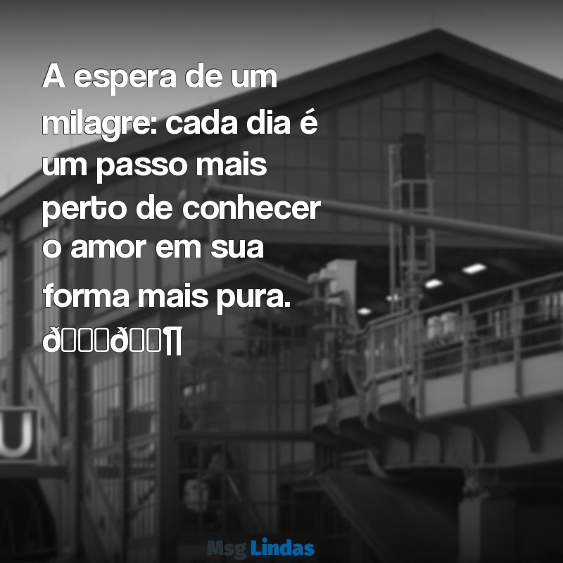 texto de gravidez para status A espera de um milagre: cada dia é um passo mais perto de conhecer o amor em sua forma mais pura. 💖👶